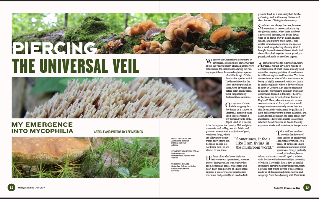 magazine spread of an article about mushrooms titled piercing the universal veil